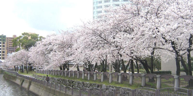 天神中央公園