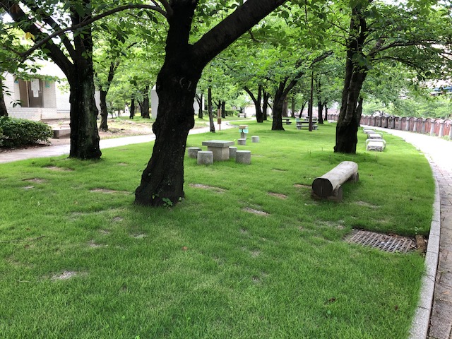 お知らせ一覧 天神中央公園